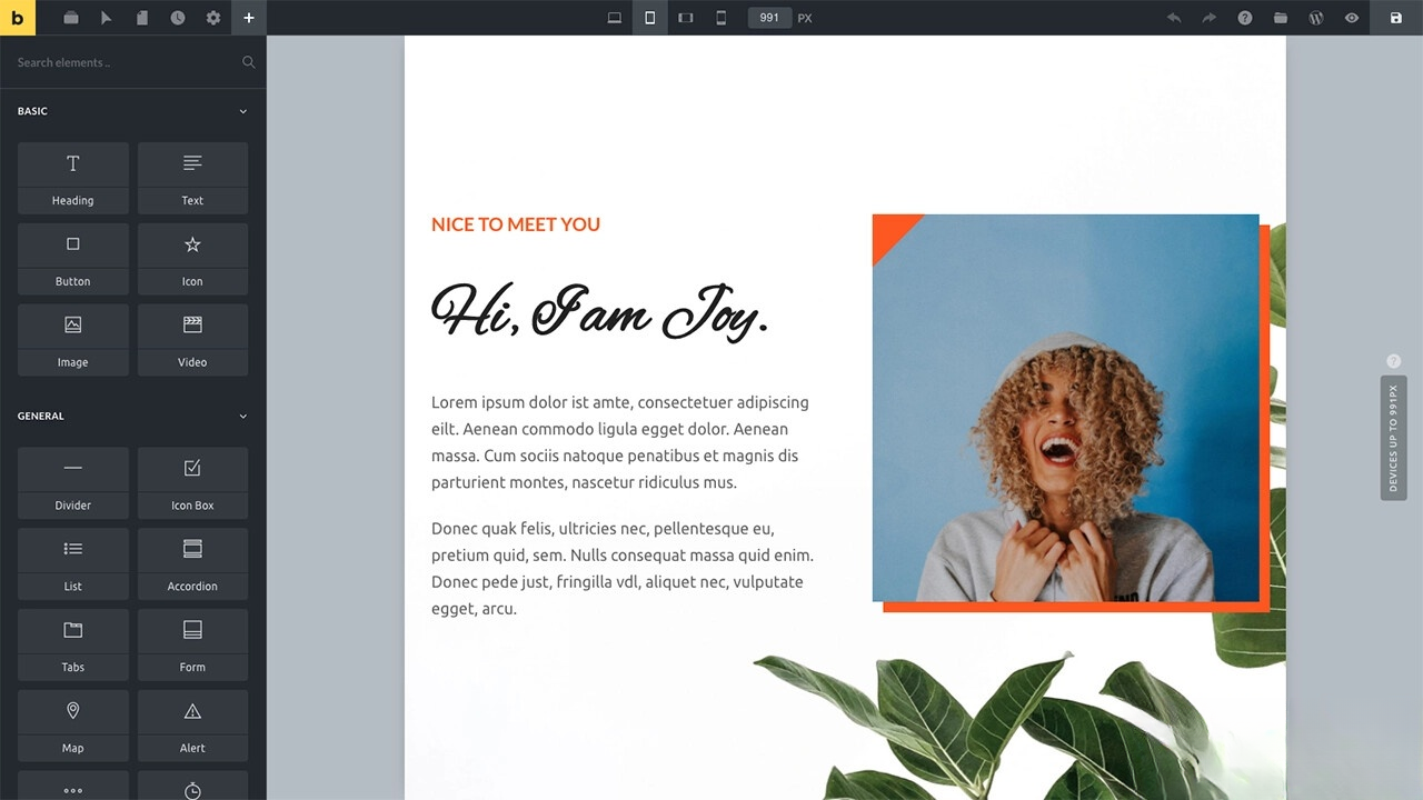WordPress主题Bricks v1.9 破解版-云浩资源站