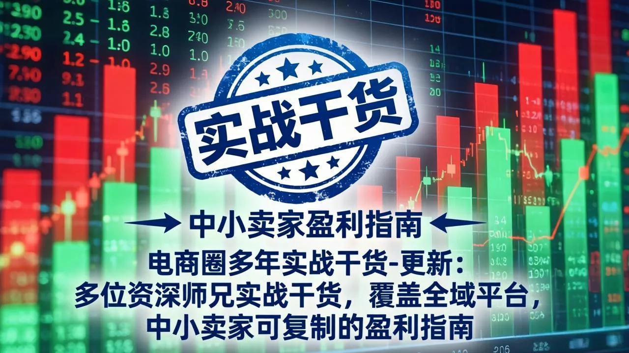 电商圈多年实战干货-更新4月：多位资深师兄实战干货，覆盖全域平台，中小卖家可复制的盈利指南 - 项目资源网