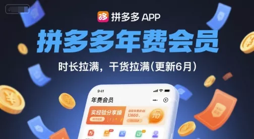 拼多多年费会员，实经验分享操，时长拉满，干货拉满(更新26年06月02日) - 项目资源网