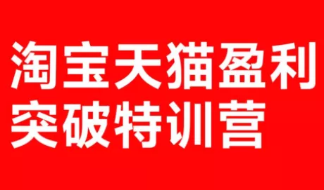 玺承·淘宝天猫盈利突破特训营(25年12月线下课)【音频+字幕】 - 项目资源网