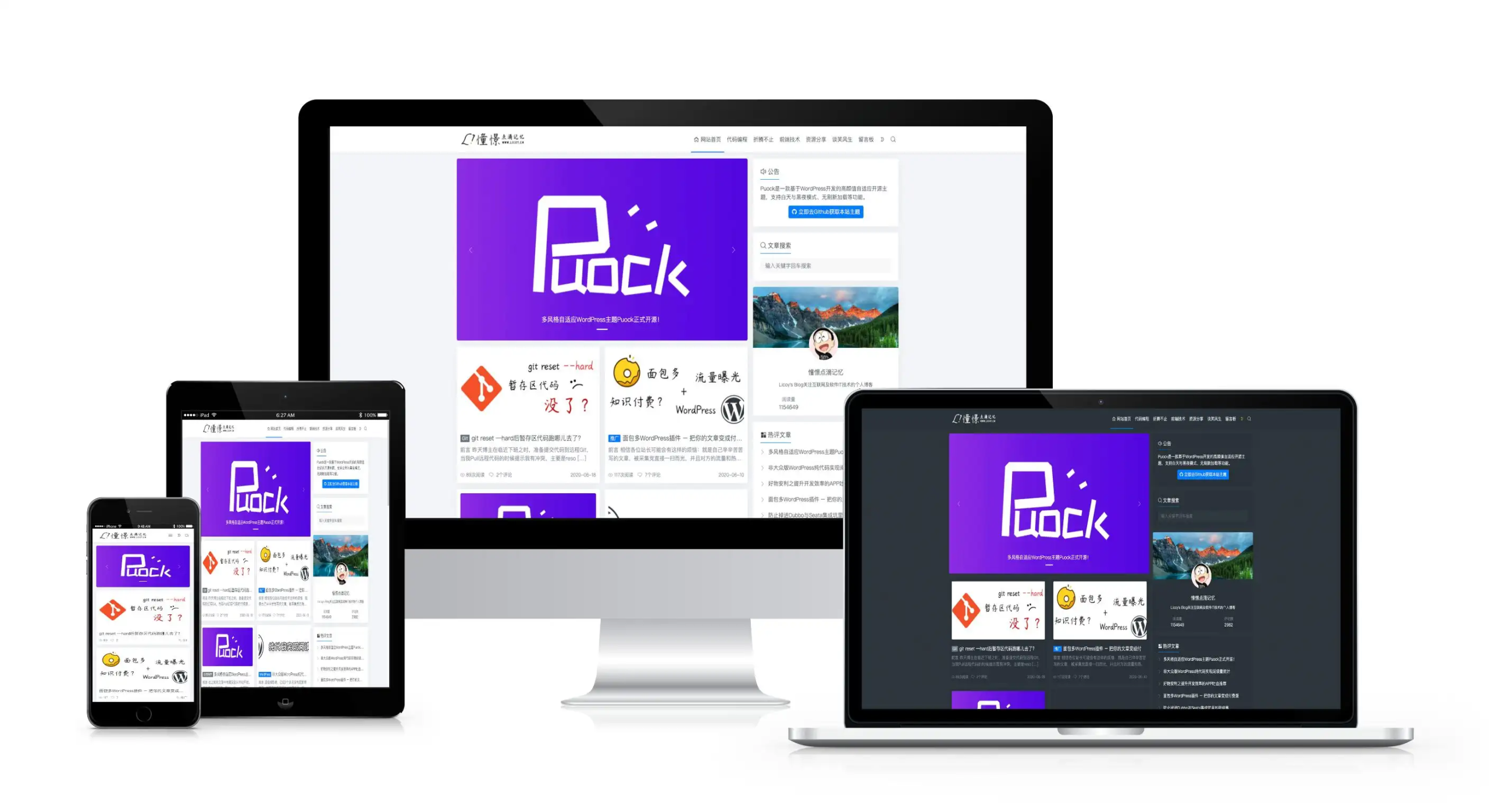 Puock基于WordPress开发的高颜值的自适应主题 支持白天与黑夜模式v2.8.4-云浩资源站