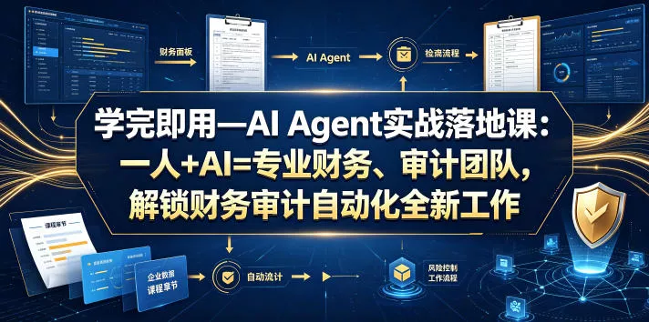 学完即用—AI Agent实战落地课：一人+AI=专业财务、审计团队，解锁财务审计自动化全新工作模式 - 项目资源网