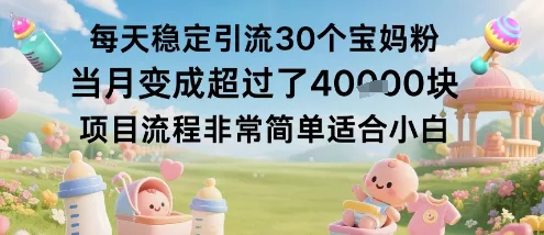 每天稳定引流30个宝妈粉当月变成超过了1W+项目流程非常简单适合小白 - 项目资源网