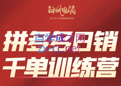 白凤电商·拼多多日销千单训练营(更新2026) - 项目资源网