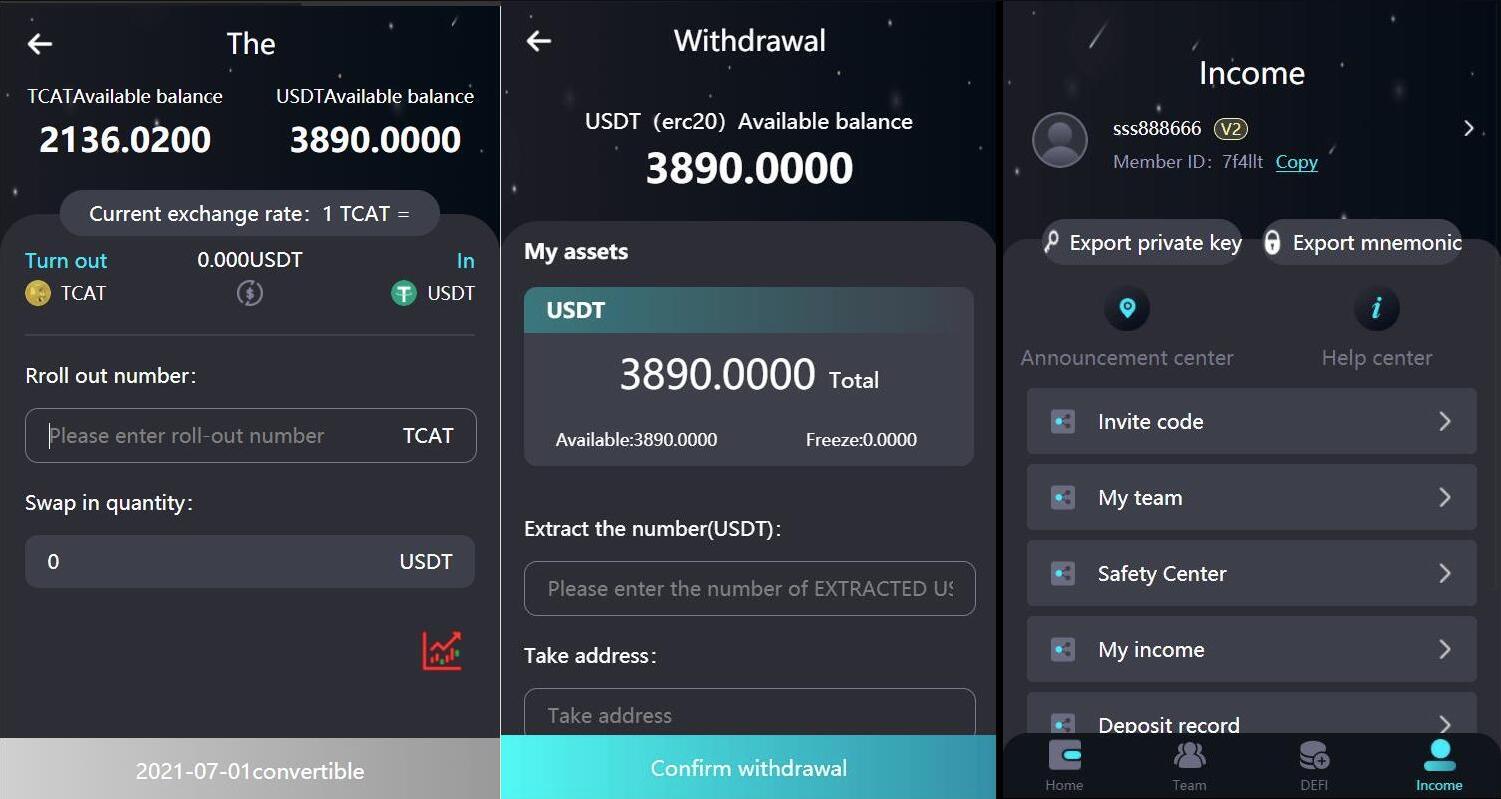 2024 新版H5打包版双语言虚拟系统 USDT支付-云浩资源站