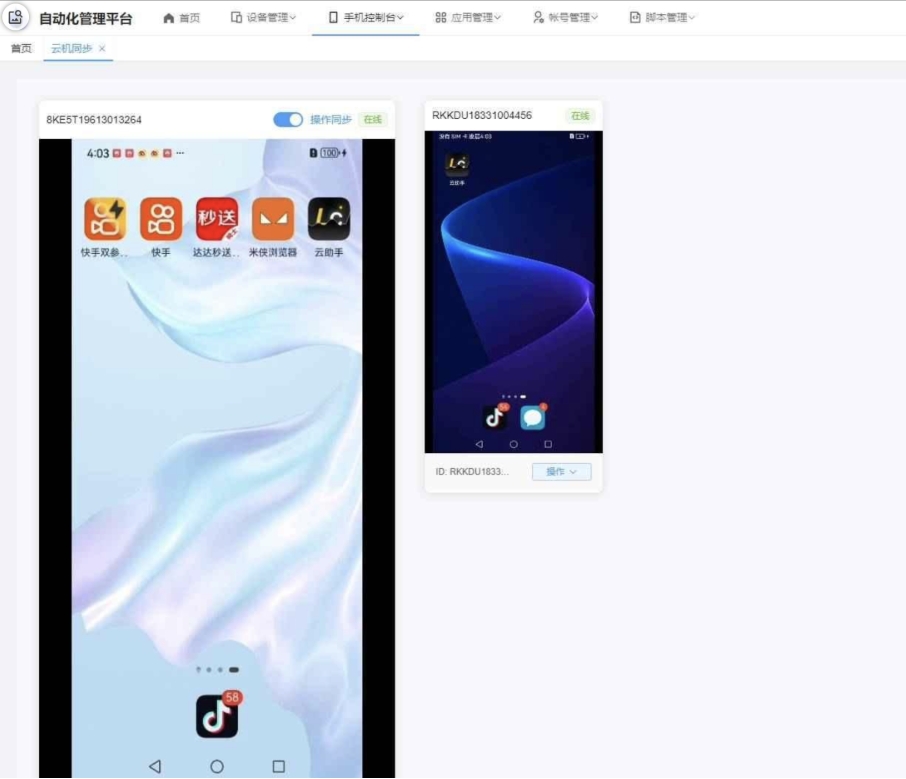 云手机群控系统源码 云手机多开群控 自动化管理程序源码-云浩资源站