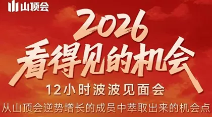 波波·2026看得见的机会12小时波波见面会(东莞线下课2月1日) - 项目资源网