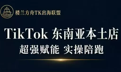 三叔·TikTok东南亚本土店实操(更5月) - 项目资源网