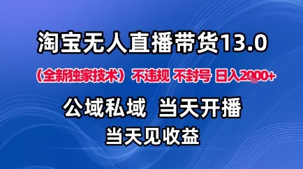 淘宝无人直播13.0，公域私域技术，不封号，不违规布局下半年旺季赛道，日入1K+(独家技术)【揭秘】 - 项目资源网