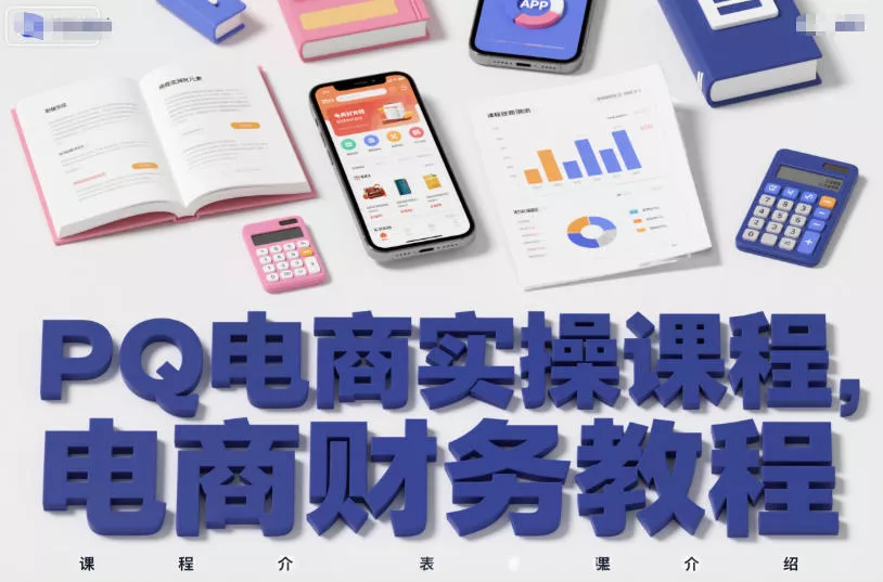 PQ电商实操课程，电商财务教程 - 项目资源网